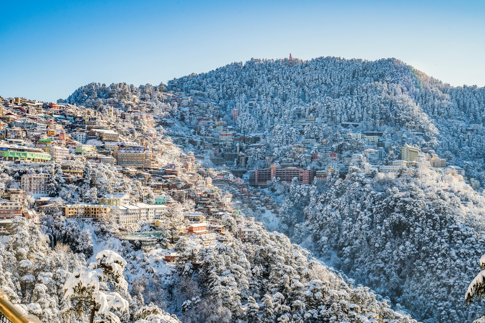 shimla tour package