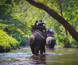 Coimbatore to Munnar tour packages on Elephant Trip