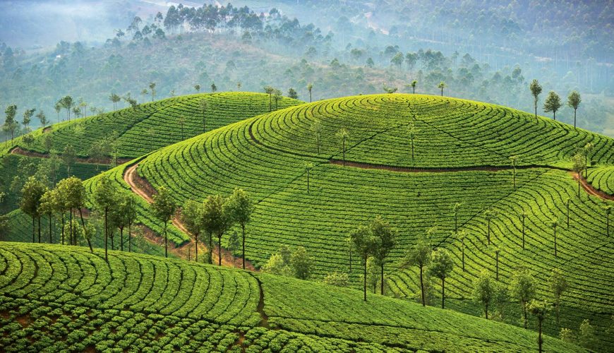 Kerala travel packages