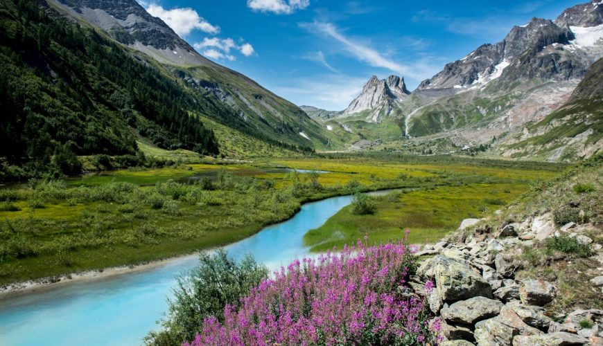 Affordable Best India Tour Packages