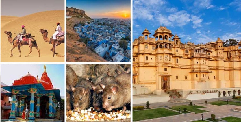 rajasthan-trip-package